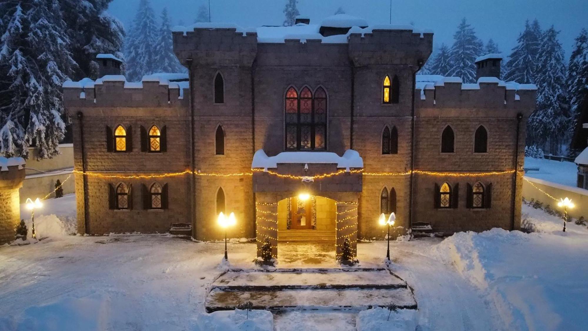 The Castle - Your Unique Way Of Retreat Borowec Zewnętrze zdjęcie