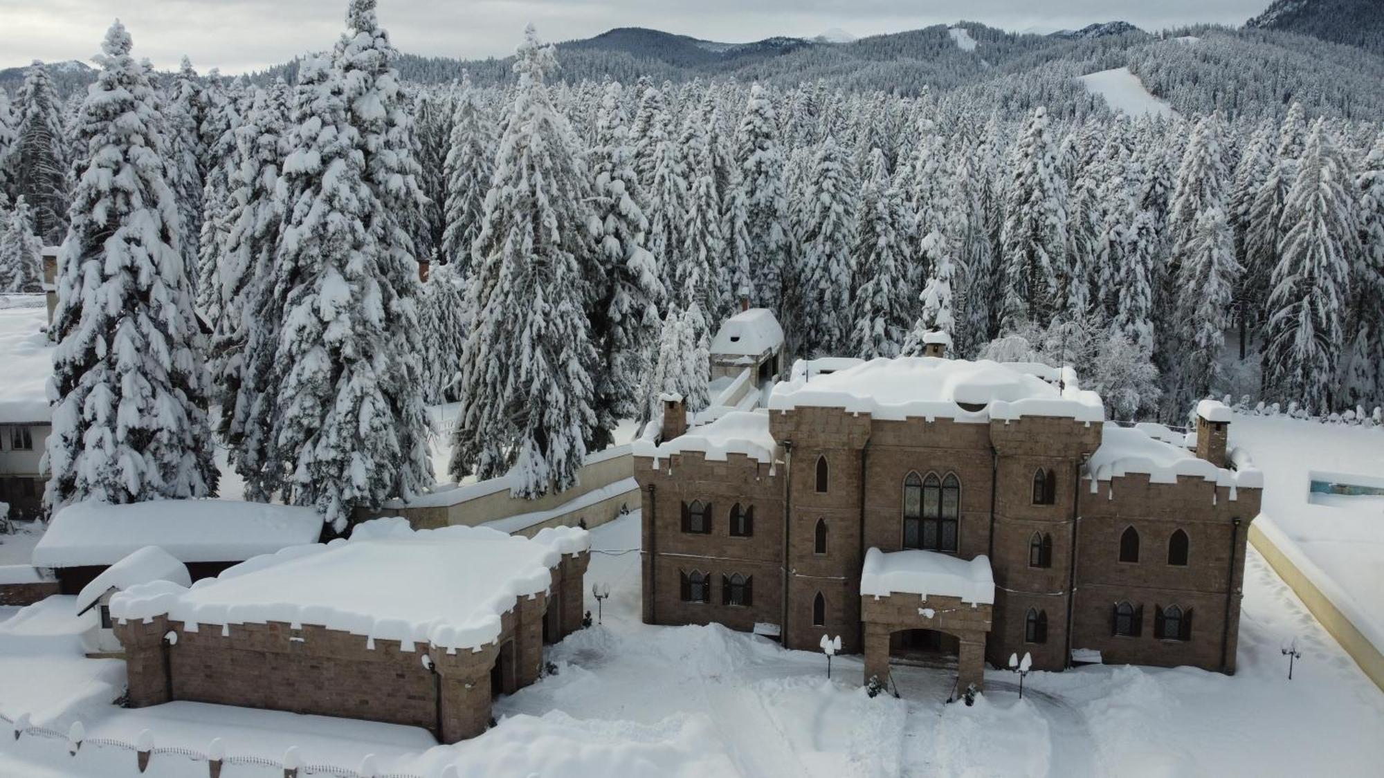 The Castle - Your Unique Way Of Retreat Borowec Zewnętrze zdjęcie