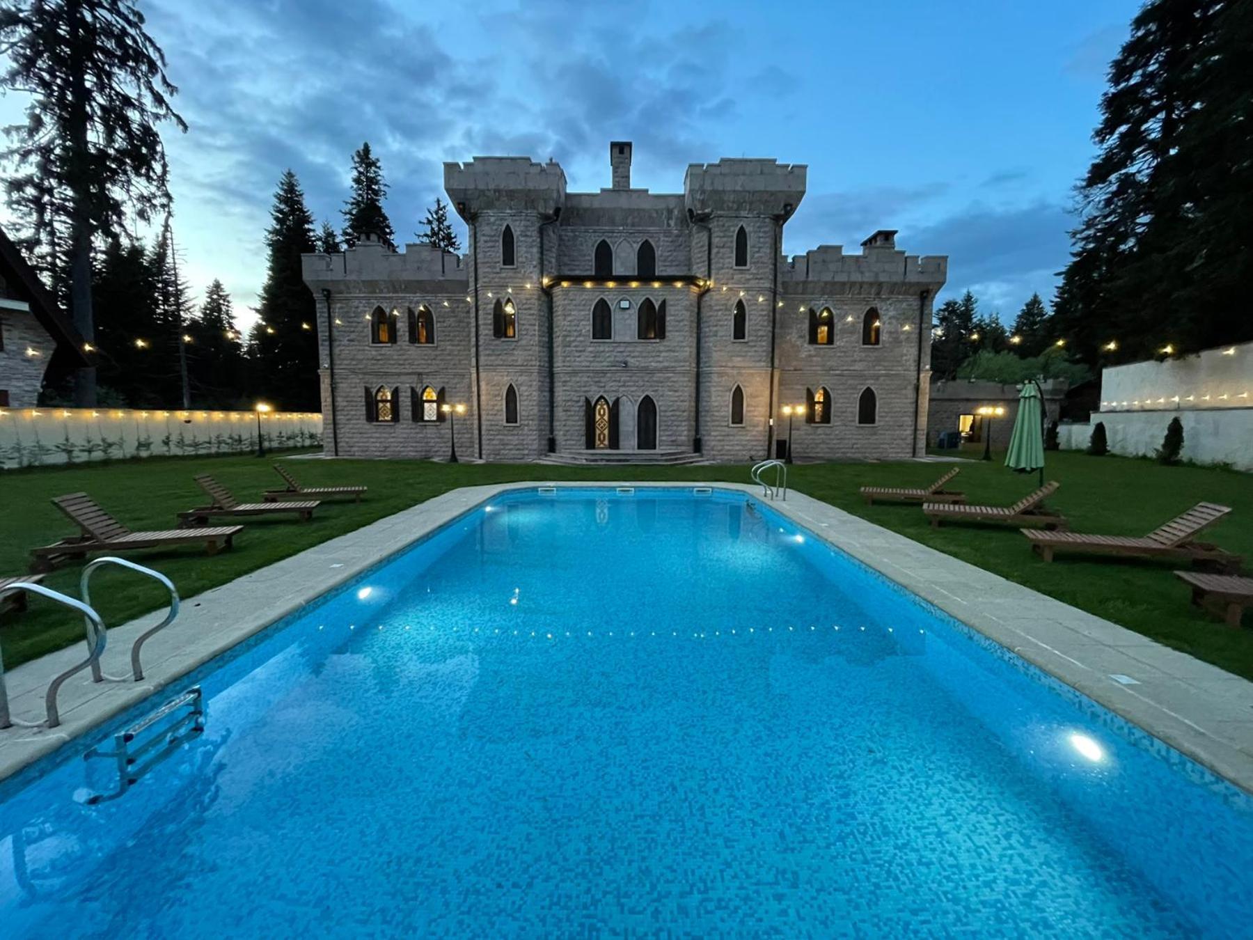 The Castle - Your Unique Way Of Retreat Borowec Zewnętrze zdjęcie